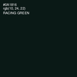 #0A1816 - Racing Green Color Image